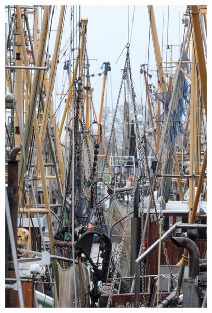 Boote