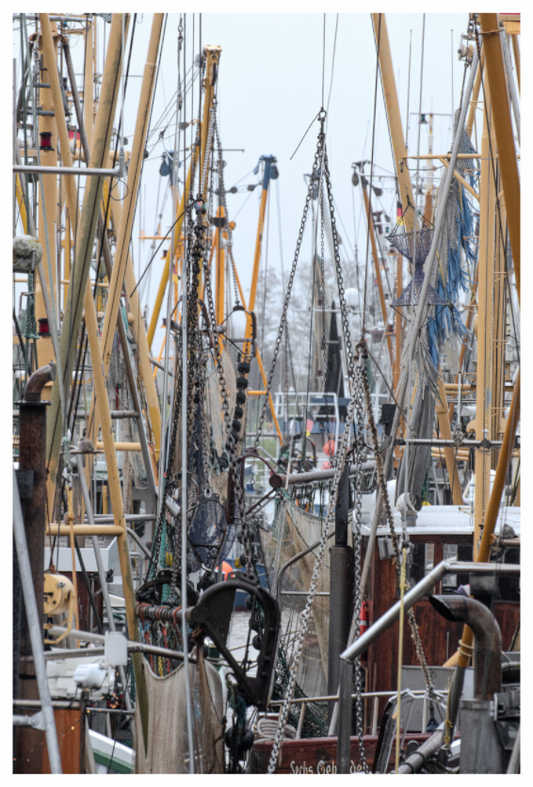 Boote