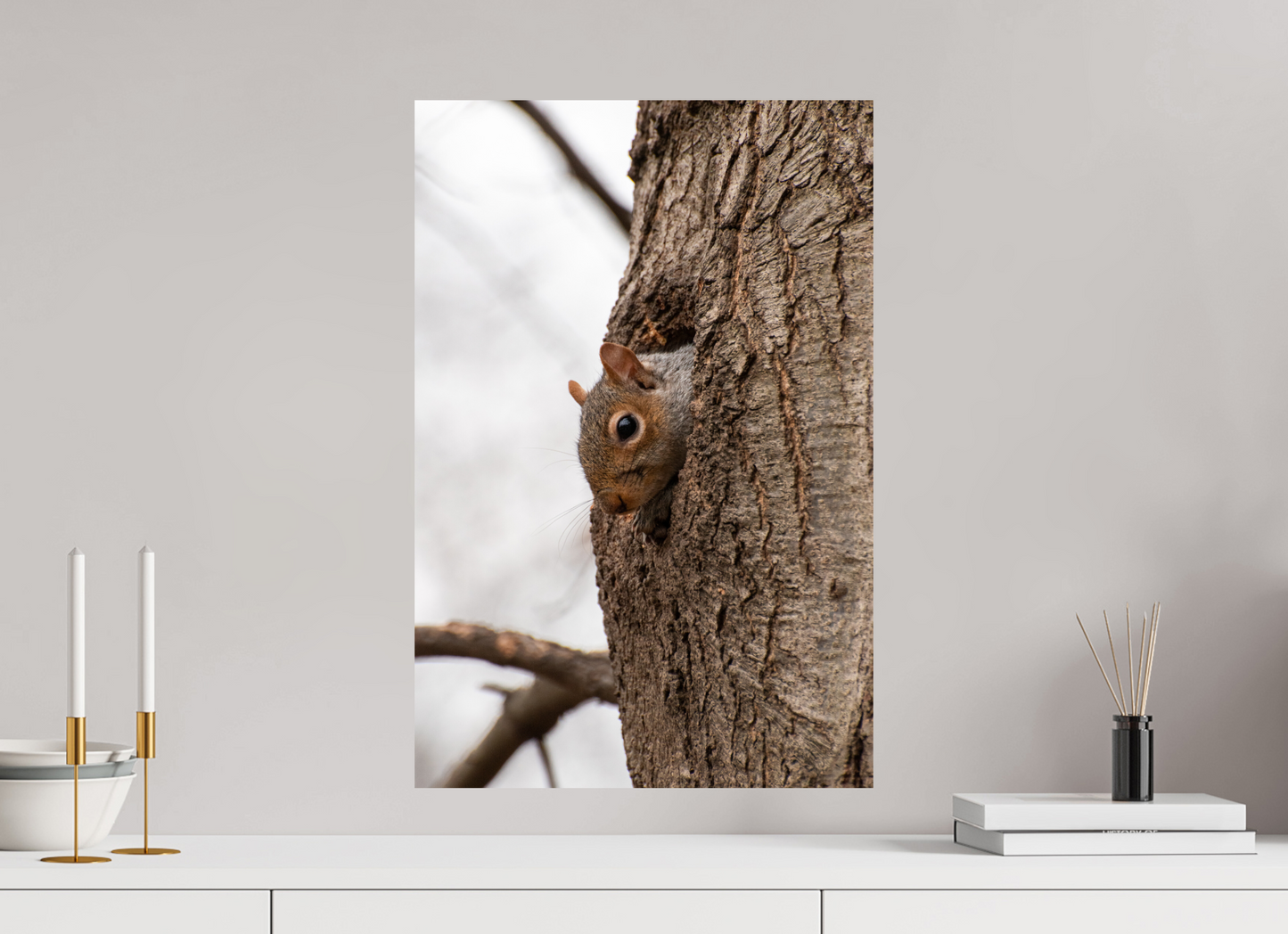 Eichhörnchen in NewYork